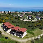 Hilltop 7 * 하니오티