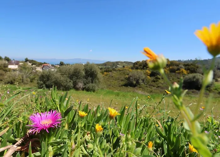 Hilltop 7 * Chaniotis