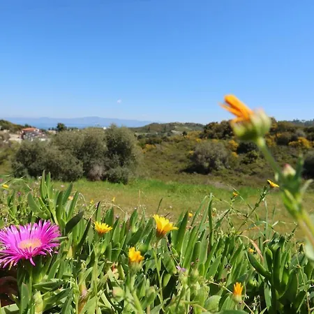 Hilltop 7 * هانيوتي